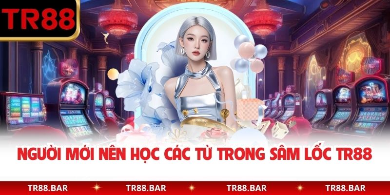 Người mới nên học các từ trong Sâm Lốc TR88